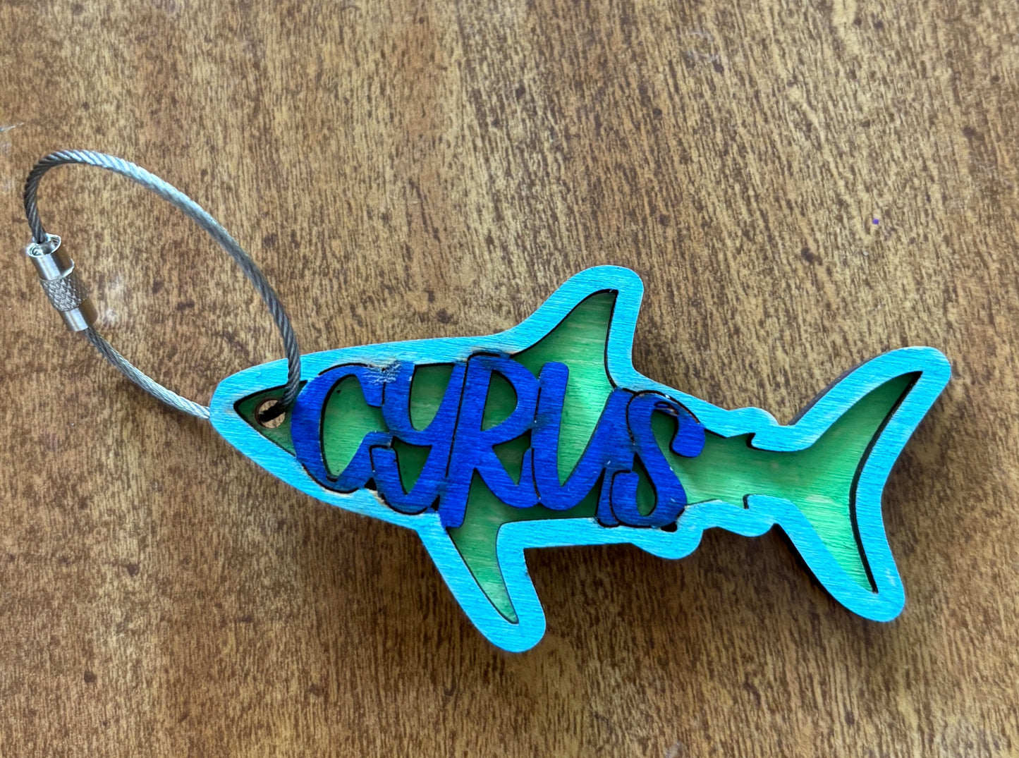 Multilayer Bag Tags