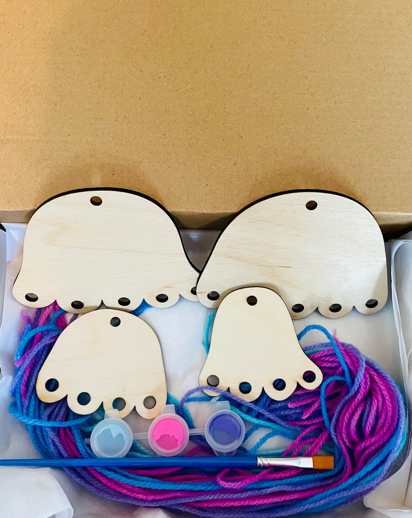 Jellyfish DIY Craft Kit