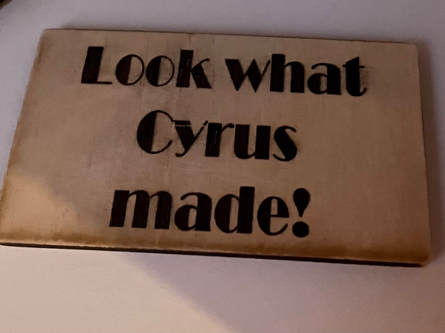 Look What I Made Magnet