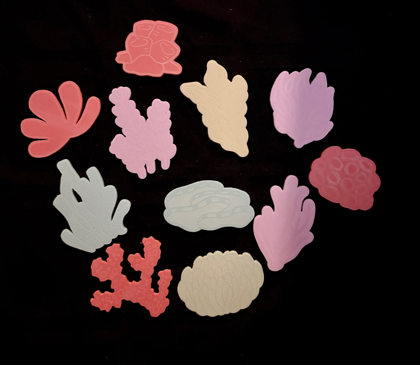 Dry Erasable Coral Reef Acrylic Set