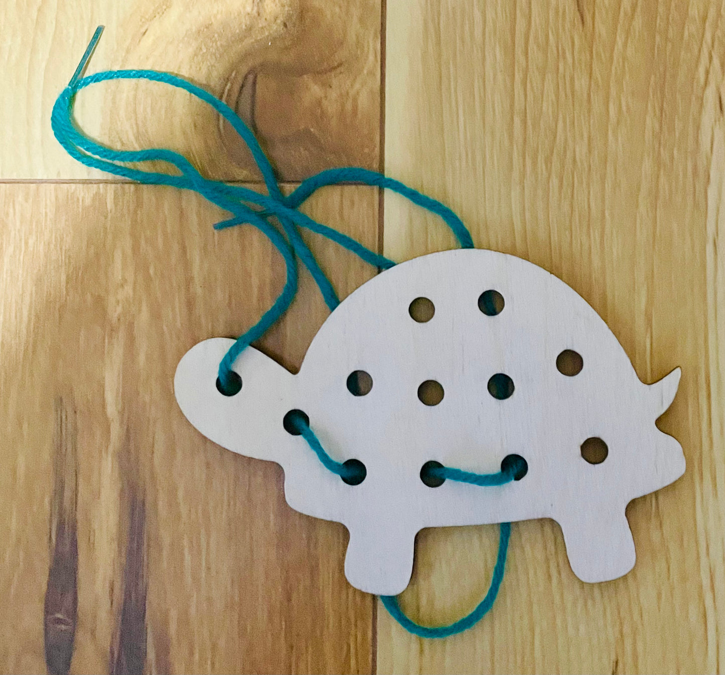 Turtle Lacing Toy