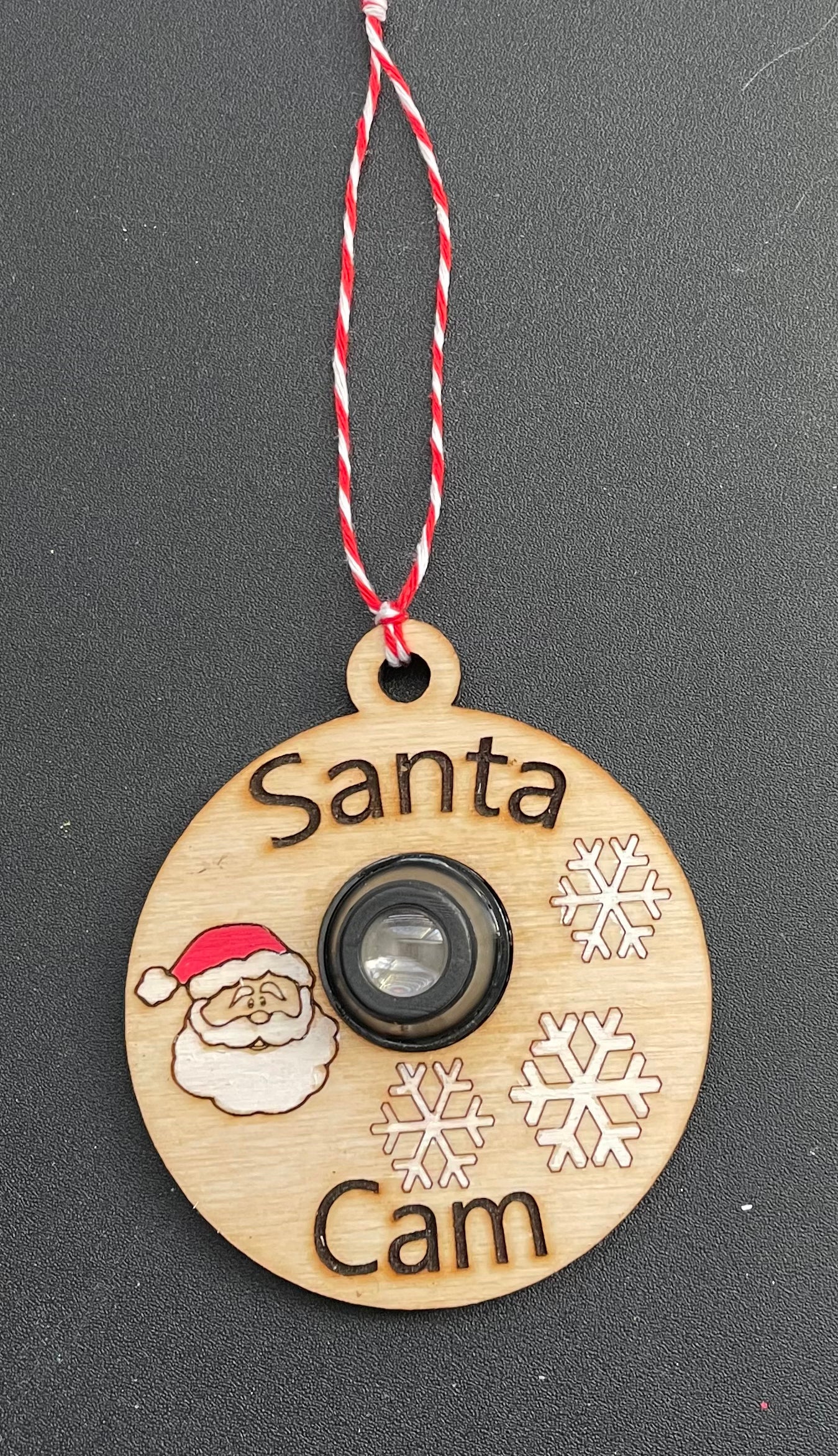 Santa Cam Ornament