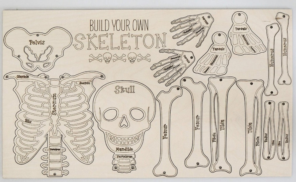 Build Your Own Skeleton